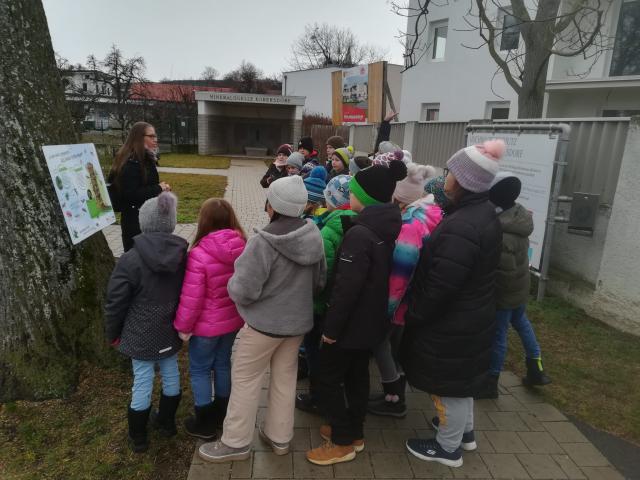 Vogel- und Insektenbeobachtung
