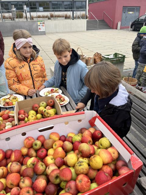 Kinder schauen sich Äpfel an